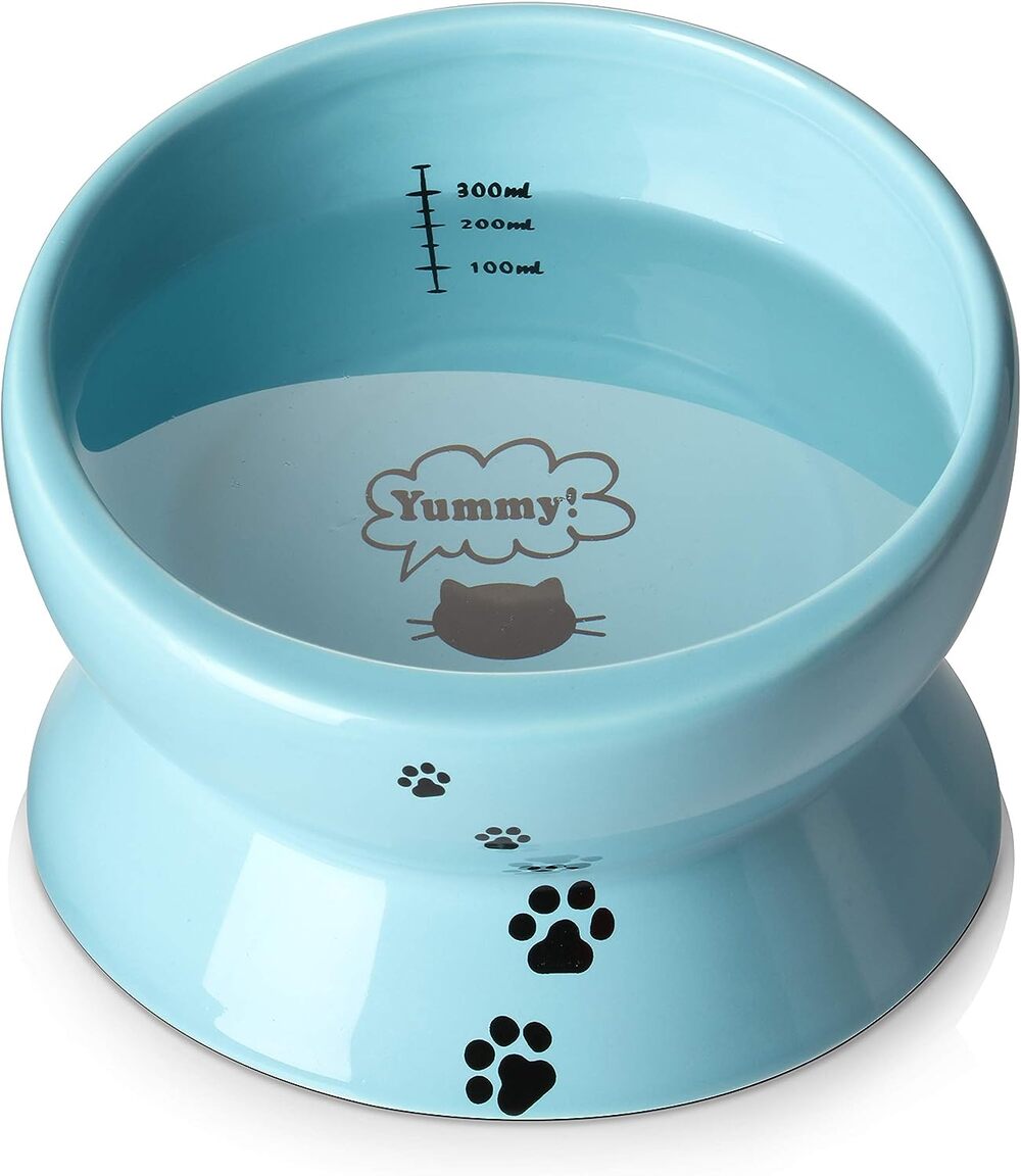 Ceramic Raised Cat Food Water Bowl